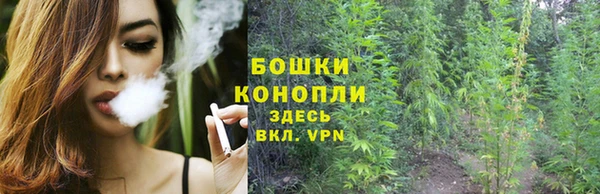 ГАЛЛЮЦИНОГЕННЫЕ ГРИБЫ Нефтегорск