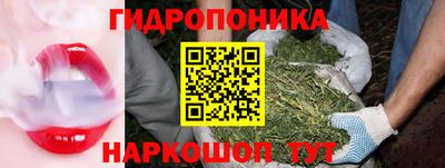 ГАЛЛЮЦИНОГЕННЫЕ ГРИБЫ Аргун