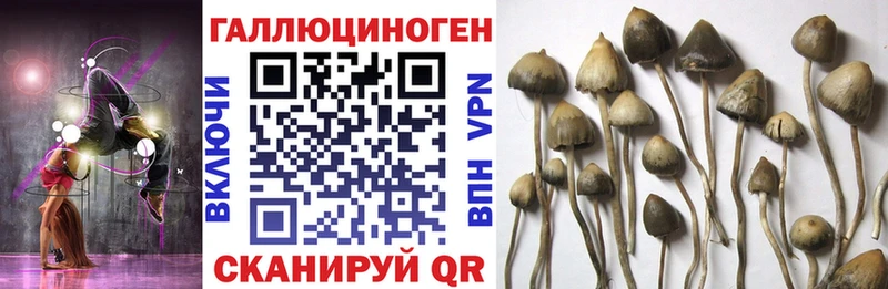 Псилоцибиновые грибы прущие грибы Ярославль