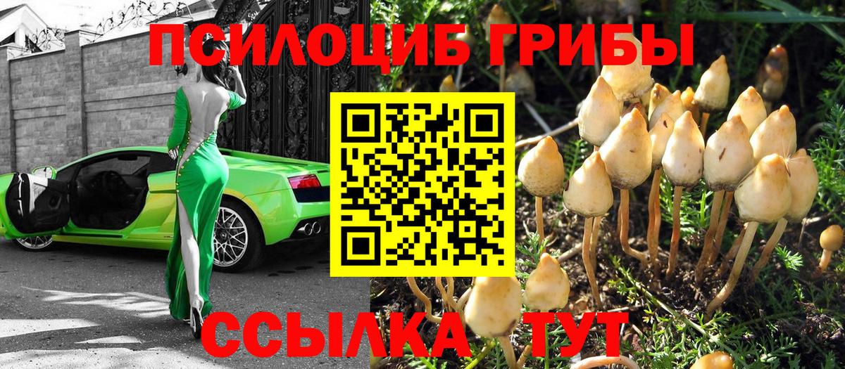 Ярославль  Псилоцибиновые грибы GOLDEN TEACHER  Псилоцибиновые грибы Magic Shrooms  Вход с VPN 