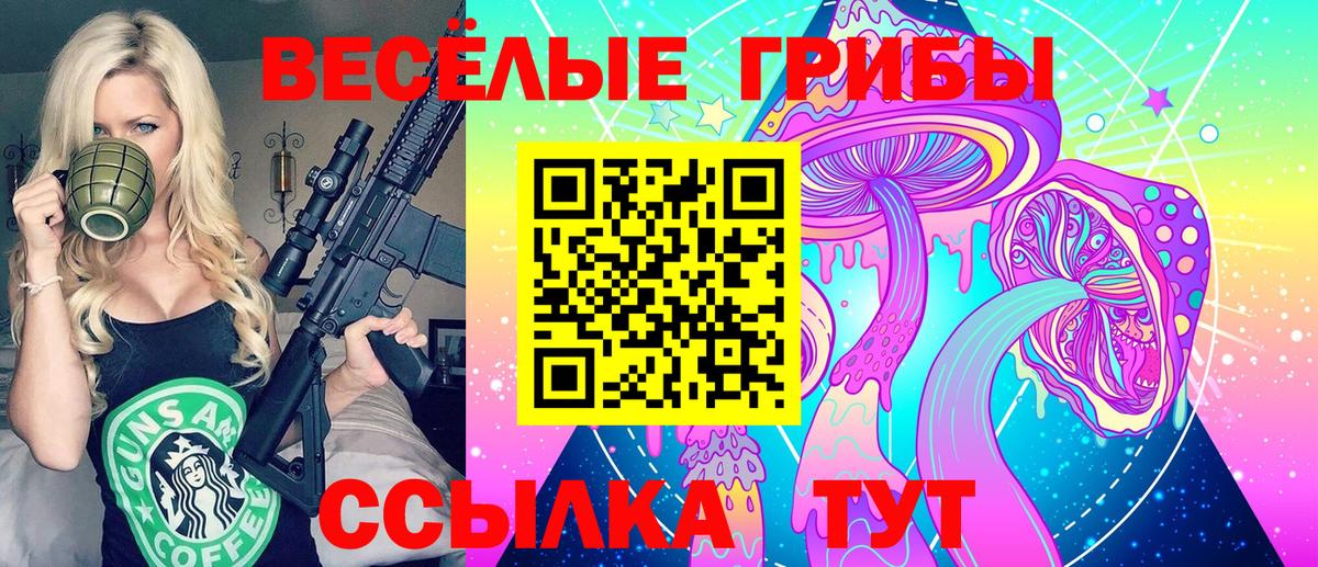 Псилоцибиновые грибы GOLDEN TEACHER Ярославль